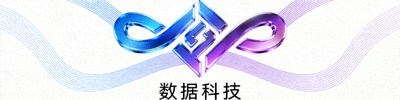 某数据科技公司Logo